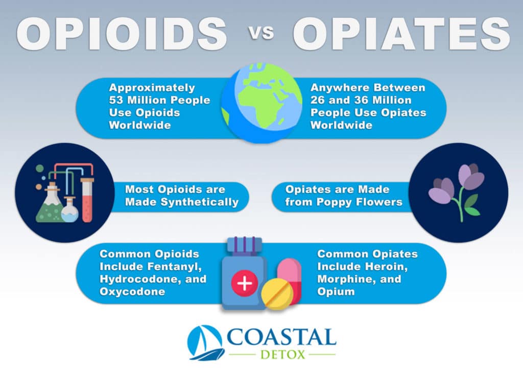 Opiates vs Opioids